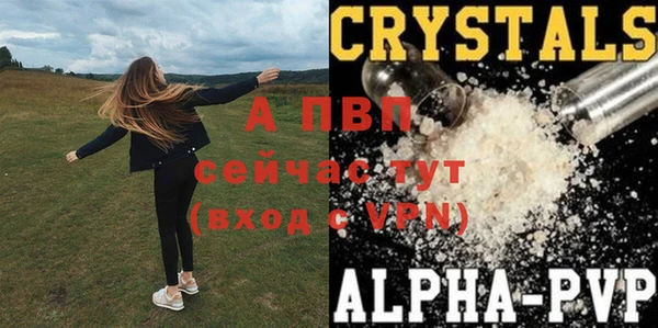 спиды Мегион