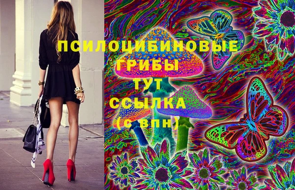 ALPHA-PVP Медногорск