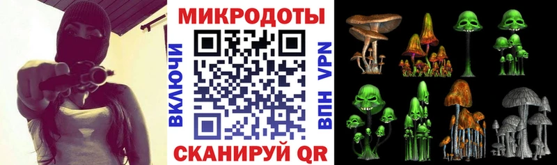 KRAKEN зеркало  как найти   Усть-Джегута  Галлюциногенные грибы мицелий 