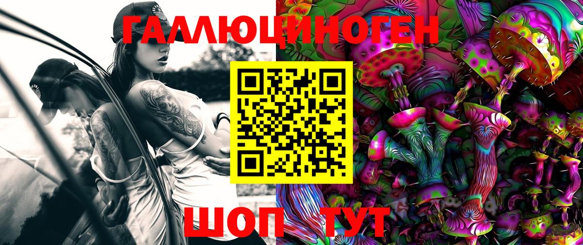 Псилоцибиновые грибы Psilocybe Усть-Джегута