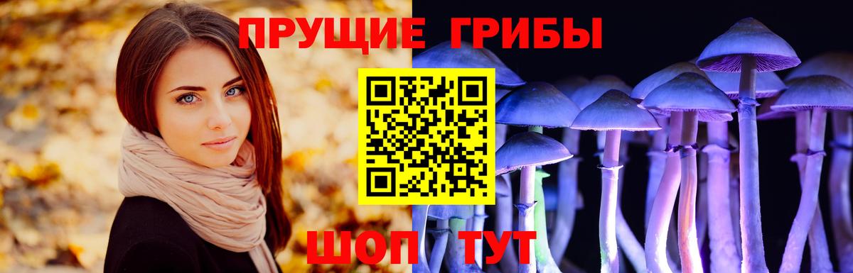 Усть-Джегута  где можно купить   Псилоцибиновые грибы мухоморы  Вход с VPN  Галлюциногенные грибы Psilocybine cubensis 